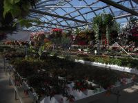 greenhouse 2012 027